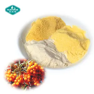 도매 100% 허브 바다 Buckthorn 분말 동결 건조 Seabuckthorn 과일 추출물 Hippophae Rhamnoides 분말