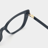 Montures de lunettes tendance pour femmes en TR90, branches en acétate bicolores, monture de lunettes transparente dégradée de qualité supérieure pour femmes
