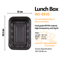 Boîte Bento jetable en PP pour micro-ondes, 10 pièces, rectangulaire, épaissie, de qualité alimentaire, pour sushi, nouilles, repas à emporter