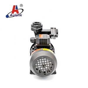 ปั๊มน้ำมัน AULANK รุ่น WD-05 0.33-3 แรงม้า อัตราการไหล 140 ลิตร/นาที ระยะส่ง 85 เมตร แรงดัน 10 บาร์ ได้รับการรับรองมาตรฐาน CE - Product Image 4