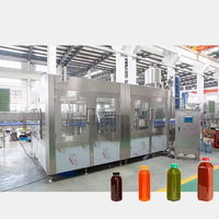 Geavanceerde productielijn voor fruitdranken met sapcentrifugeermachine voor dranken, gel en puur water vulmateriaal