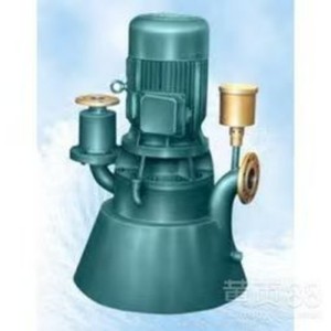 ปั๊มน้ำแบบดูดเองได้ รุ่น WFB ซีรีส์ควบคุมการทำงานด้วยตัวเอง - Product Image 4
