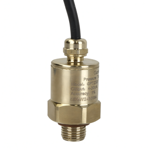 Transmisor de Presión Industrial GPT2303 Hirschmann OEM G1/2 4~20mA para Asuntos Hídricos - Product Image 4