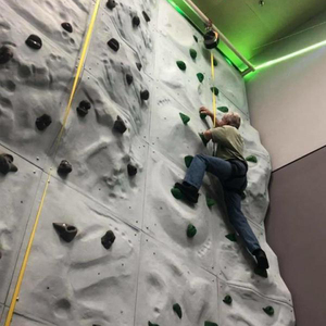 ROHS Exercise Climbing Wall Panels Outdoor For Playground Adventure Park