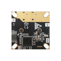 Mini caméra cachée USB 1/2.9 pouces Module de caméra CMOS Surveillance vidéo 1080P