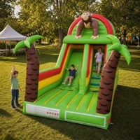 Toboggan aquatique gonflable commercial en promotion avec piscine – Vente en gros de toboggans aquatiques gonflables