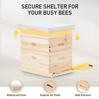 Nouveau kit complet de ruche Langstroth à 2 niveaux avec 10 boîtes à cadres pour élevage apicole