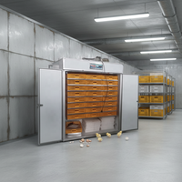 Incubadora de Huevos para Pollos y Patos, Equipo de Incubación Automático de Gran Capacidad para Granjas, 880/1056/1232 Huevos