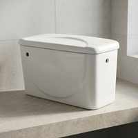 Réservoir d'eau en céramique pour WC, produits de salle de bain, accessoires de toilette en porcelaine, articles sanitaires