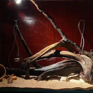 Veilige <span class=keywords><strong>aquarium</strong></span> drijfhouten boomstammen, vooraf gekookt en zinkend, OEM geaccepteerd - Product Image 3