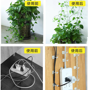 Dispositivo de Fijación para Pothos, Enredaderas, Plantas Verdes, Dispositivo para Trepar a la Pared, Ganchos, Hebillas de Fijación de Alambre, Clips de Fijación para Enredaderas - Product Image 4