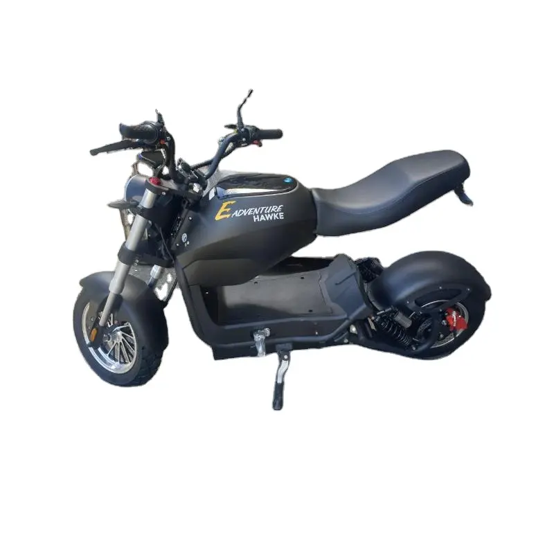 Motocyclette électrique cyclomoteur 60AH moteur puissant et 2000w noir mat cerise rouge arctique blanc myrtille rouge mat