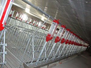 ฟาร์มสัตว์ปีกสำเร็จรูป โรงเรือนเลี้ยง<span class=keywords><strong>ไก่</strong></span> เป็ด สุกร วัว สัตว์ปีก โรงเรือนเลี้ยงสุกรแบบกำหนดเอง ออกแบบอาคารฟาร์ม โรงเรือนเลี้ยงแม่สุกร โรงเรือนเลี้ยงม้า โรงเรือนเลี้ยงสัตว์ - Product Image 4