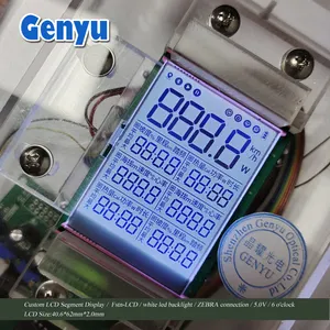 Aangepaste Positieve Lcd-Display Module Tn Htn Stn Fstn Va Btn Segment Lcd