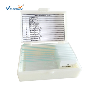 50/100 Piezas de Portaobjetos de <span class=keywords><strong>Microscopio</strong></span> de Alta Calidad Preparados por <span class=keywords><strong>Mitosis</strong></span> y Meiosis para Investigación Educativa - Product Image 2