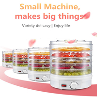 28Cm 5 Trays Elektrische Thuisgebruik Fruit Groenten Mini Food Dehydrator