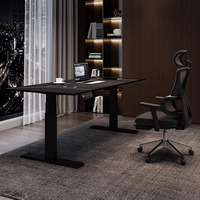 Escritorio Ergonómico Inteligente de Altura Ajustable ODM/OEM, Mesa de Oficina Eléctrica para Trabajar Sentado o De Pie, Escritorio Motorizado Personalizado para Gimnasio