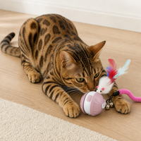 Jouet interactif pour chat en forme de balle, écologique, dessin animé, balle roulante automatique, puzzle pour chats laso, utilisation en intérieur, laser LED pour entraînement des animaux de compagnie en intérieur