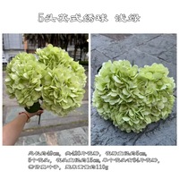 RK272 Zijden Hortensia 5-koppige Kunstbloem Groene Hortensia Bouquet voor Bruiloft Tafeldecoratie Arrangement Decoratie