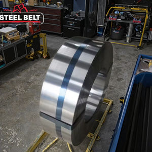 Tira de acero con resorte de aleación 51CrV4/bobina de 1,0-2,0mm de espesor, superficie engrasada Normal, tratamiento <span class=keywords><strong>t</strong></span>érmico de corte personalizado Shanlong - Product Image 3