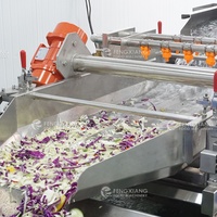 Ligne de traitement automatique de salades de légumes et de fruits FengXiang, ligne de traitement et d'emballage de choux et de laitues