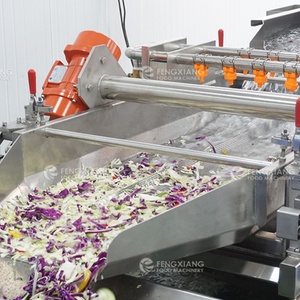 Línea de Procesamiento Comercial de Ensaladas, Línea de Producción de Vegetales, Línea de Corte, Lavado y Secado de Frutas y Verduras - Product Image 2