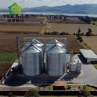 Sistema di Silos per Grano e Mais di Grande Capacità Zincato