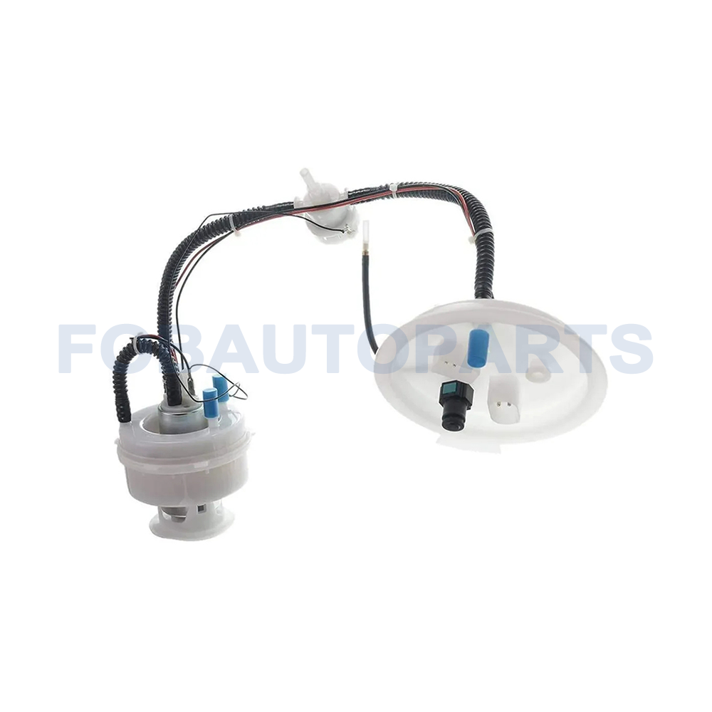 Electric Fuel Pump Module Assembly for BMW 5 F10 F18 520i 528i N20 B20 16117260640 16117260644 16117434205 16117434206