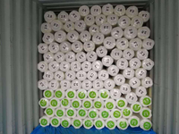 Bâche en plastique imperméable et ignifuge de qualité supérieure pour travaux de construction sur les chantiers