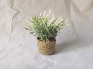 2023 Flores y plantas decorativas Flores <span class=keywords><strong>De</strong></span> <span class=keywords><strong>Lavanda</strong></span> <span class=keywords><strong>Bonsai</strong></span> <span class=keywords><strong>Lavanda</strong></span> Flor Boda <span class=keywords><strong>Lavanda</strong></span> Artificial Ramo <span class=keywords><strong>De</strong></span> <span class=keywords><strong>Lavanda</strong></span> - Product Image 6