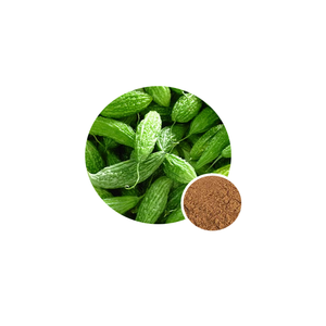 ZD 공급 순수 천연 쓴 멜론 추출물 분말 쓴 조롱박 추출물 10% 20% 30% - Product Image 1