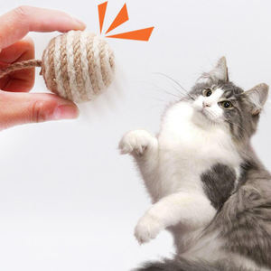 Hete Verkopende Kleur Mini Handgeweven Sisal Bijtbestendig Entertainment Circulaire Huisdier Speelgoed Bal Voor Katten - Product Image 1