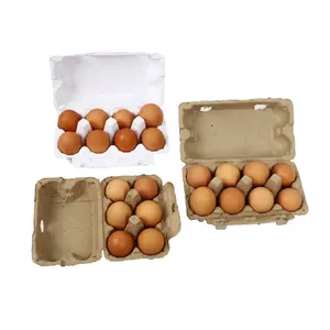 8 Lubang Biodegradable Kemasan Egg Tray Gaya Baru 2/4/6/8/9/10/12/15/18/20/24/30 Lubang Egg Tray dengan Mailer Pengiriman Box