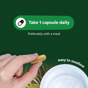 OEM ODM <b>Saw</b> Palmetto 500mg Capsules 60 Count Berry Powder Extract Dual Source Non GMO Gluten Free - Product Image 4