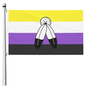 Barato LGBTQ 3X5 Ft Nonbinary Dois Espíritos Bandeira Orgulho Bandeira para Sala Exterior Interior