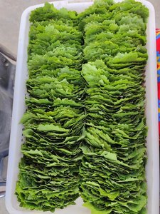 Bán buôn nho lá trong Jar 100% tự nhiên nho Lá Trong Nước Muối đáng tin cậy xuất khẩu của chất lượng tốt - Product Image 5