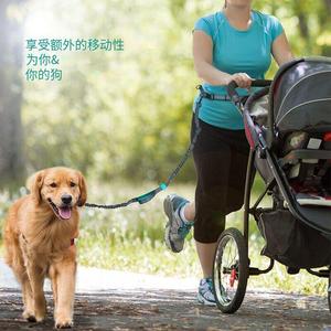 Correa para Perros Manos Libres, Elástica, de Nailon Ajustable, para Senderismo, Ciclismo y Paseos al Aire Libre con Perros - Product Image 3