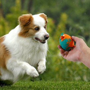 Ballon <span class=keywords><strong>de</strong></span> football interactif pour chiens en gros avec onglets Jouets pour chiens <span class=keywords><strong>de</strong></span> dressage gonflés Nouveau design Balles <span class=keywords><strong>d</strong></span>'extérieur Jouets pour animaux <span class=keywords><strong>de</strong></span> compagnie - Product Image 6