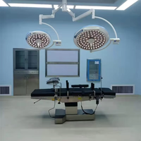 Lumière chirurgicale sans ombre à LED à double dôme Équipement d'éclairage professionnel pour l'examen vétérinaire en clinique