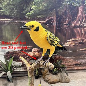 Afrika kuşları-sergi için özelleştirilmiş Animatronic altın tanbird kuş - Product Image 5