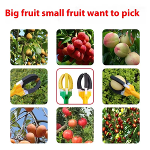 <span class=keywords><strong>Cueilleur</strong></span> <span class=keywords><strong>de</strong></span> <span class=keywords><strong>fruits</strong></span> et légumes en aluminium pour haute altitude, industriel/DIY, à trois griffes, avec perche télescopique, accessoires <span class=keywords><strong>de</strong></span> jardinage pour la cueillette en hauteur, OEM DWD - Product Image 5