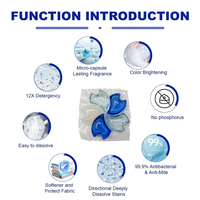 Lessive liquide en dosettes écologiques jetables pour vêtements - Antibactérien et nettoyage en profondeur 5-en-1 (vente en gros)