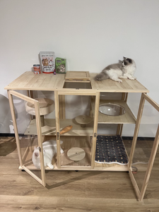 Mobilier élégant pour chat en bois de pin, villa pour chat avec portes en verre pour la décoration de la maison, maison en bois pour chat personnalisée - Product Image 5