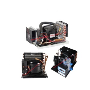ชุดคอนเดนซิ่งขนาดเล็กพร้อมเทอร์โมสตัท, คอมเพรสเซอร์ DC 12v 24v 48v รุ่น BD35HC สำหรับ<span class=keywords><strong>ตู้</strong></span><span class=keywords><strong>เย็น</strong></span>ในรถยนต์ <span class=keywords><strong>ตู้</strong></span>แช่แข็งขนาดเล็ก ชุดคอนเดนซิ่งขนาดเล็ก - Product Image 1