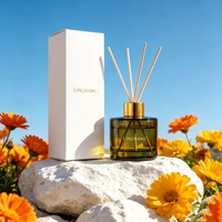 Bouteilles en verre vides de couleur personnalisée 30ml/50ml/80ml/100ml/120ml avec bouchon à vis anti-fuite pour huiles essentielles d'aromathérapie à usage domestique