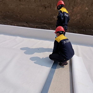 Rouleau d'étanchéité auto-adhésif en polymère HDPE pré-couvert avec sable <span class=keywords><strong>pour</strong></span> fondations - Product Image 3