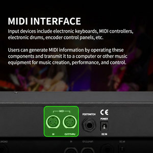 โปรเซสเซอร์เอฟเฟกต์เสียงมินิ DSP ระดับมืออาชีพ 199 รูปแบบเอฟเฟกต์เสียงสะท้อนแบบดิจิตอล สำหรับ<span class=keywords><strong>คาราโอเกะ</strong></span> การบันทึกเสียงสด และระบบเสียงพีเอ - Product Image 4