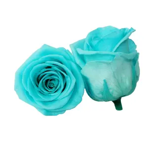 Um grau de melhor qualidade natural verdadeiro preservo rosas tamanho 4-5 cm cabeça de flor
