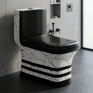 Ventes à bas prix Série décorative Vistaar 41kg WC sanitaires en céramique Toilette monobloc avec réservoir dissimulé pour salle de bain - Product Image 1