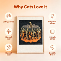 Nouveau grattoir pour animaux de compagnie sur le thème de la citrouille, un produit de protection écologique et artistique pour meubles